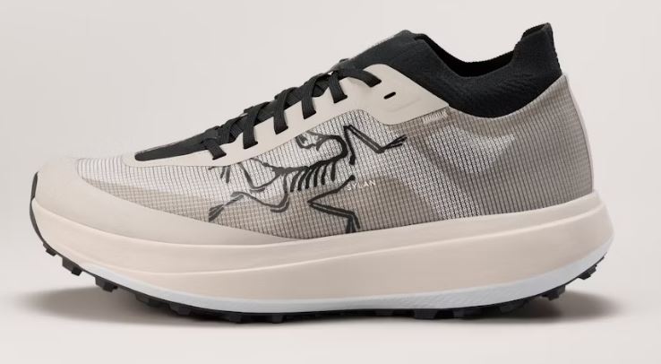 ARC'TERYX Sylan Pro Shoe Men's