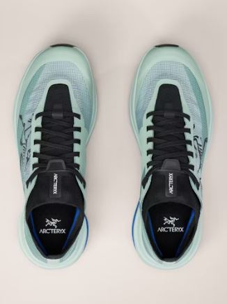 ARC'TERYX Sylan Pro Shoe Men's