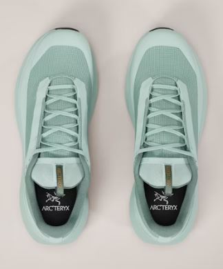 ARC'TERYX Norvan LD 4 GTX Shoe Men's