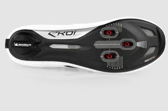 EKOI Racing Pro Team C12