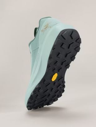 ARC'TERYX Norvan LD 4 GTX Shoe Men's