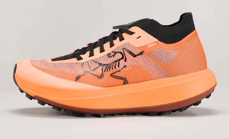 ARC'TERYX Sylan Pro Shoe Men's