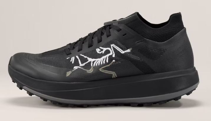 ARC'TERYX Sylan Pro Shoe Men's
