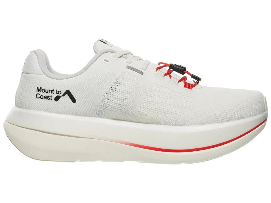 Mount to Coast C1 Men's Shoes - pulse